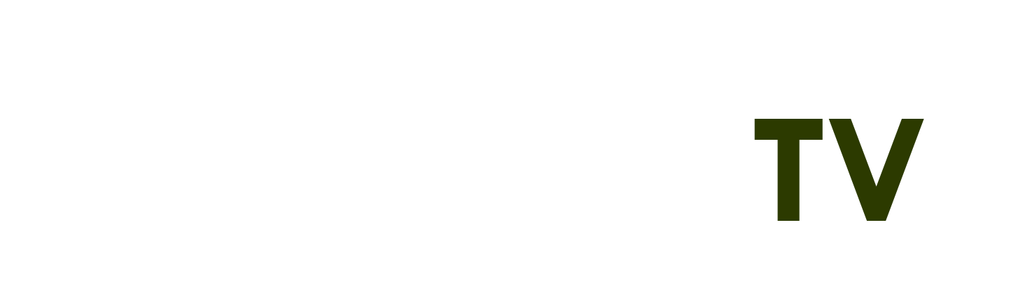 lúc em cần anh đang ở đâu
